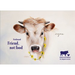 Postkarte "Friend, not food"