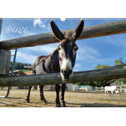 Erdlingshof-Wandkalender,...